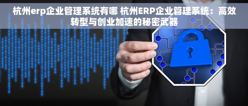 杭州erp企业管理系统有哪 杭州ERP企业管理系统：高效转型与创业加速的秘密武器
