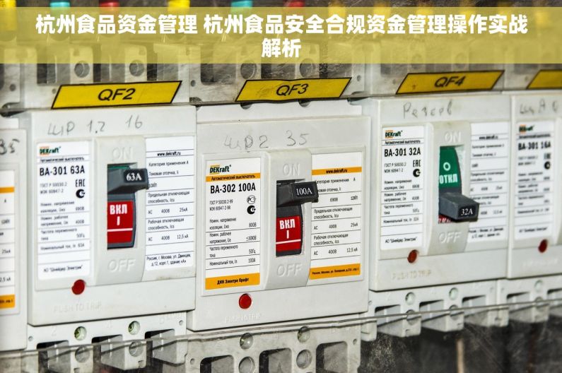 杭州食品资金管理 杭州食品安全合规资金管理操作实战解析