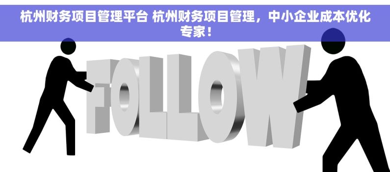 杭州财务项目管理平台 杭州财务项目管理，中小企业成本优化专家！