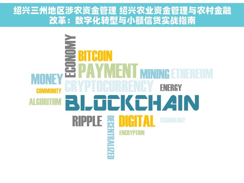 绍兴三州地区涉农资金管理 绍兴农业资金管理与农村金融改革：数字化转型与小额信贷实战指南