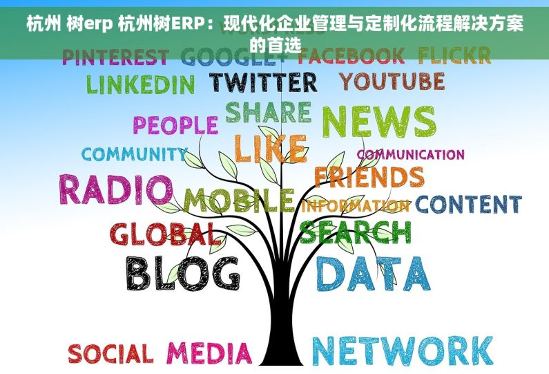 杭州 树erp 杭州树ERP：现代化企业管理与定制化流程解决方案的首选