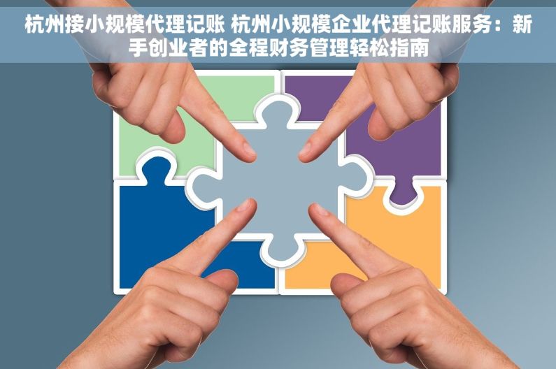 杭州接小规模代理记账 杭州小规模企业代理记账服务：新手创业者的全程财务管理轻松指南