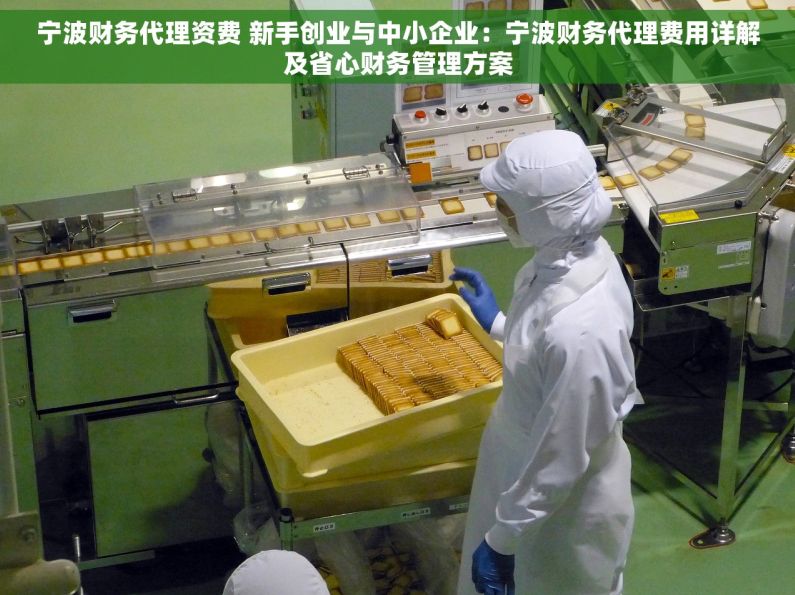 宁波财务代理资费 新手创业与中小企业：宁波财务代理费用详解及省心财务管理方案
