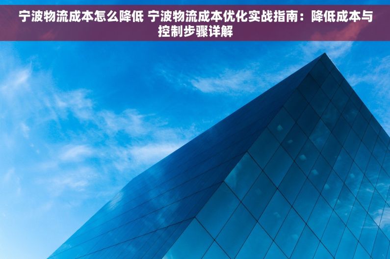 宁波物流成本怎么降低 宁波物流成本优化实战指南：降低成本与控制步骤详解