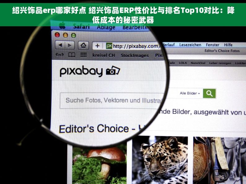 绍兴饰品erp哪家好点 绍兴饰品ERP性价比与排名Top10对比：降低成本的秘密武器