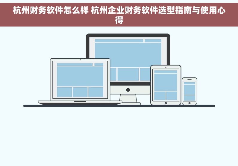 杭州财务软件怎么样 杭州企业财务软件选型指南与使用心得
