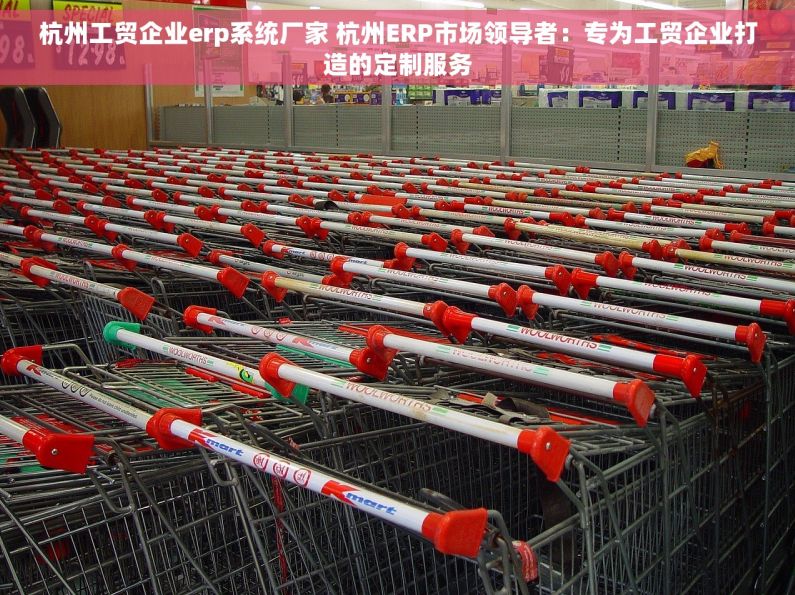 杭州工贸企业erp系统厂家 杭州ERP市场领导者：专为工贸企业打造的定制服务