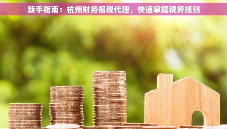 新手指南：杭州财务报税代理，快速掌握税务规则