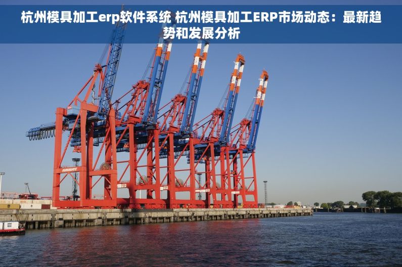 杭州模具加工erp软件系统 杭州模具加工ERP市场动态：最新趋势和发展分析