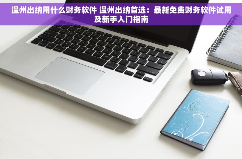 温州出纳用什么财务软件 温州出纳首选：最新免费财务软件试用及新手入门指南