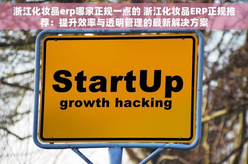 浙江化妆品erp哪家正规一点的 浙江化妆品ERP正规推荐：提升效率与透明管理的最新解决方案