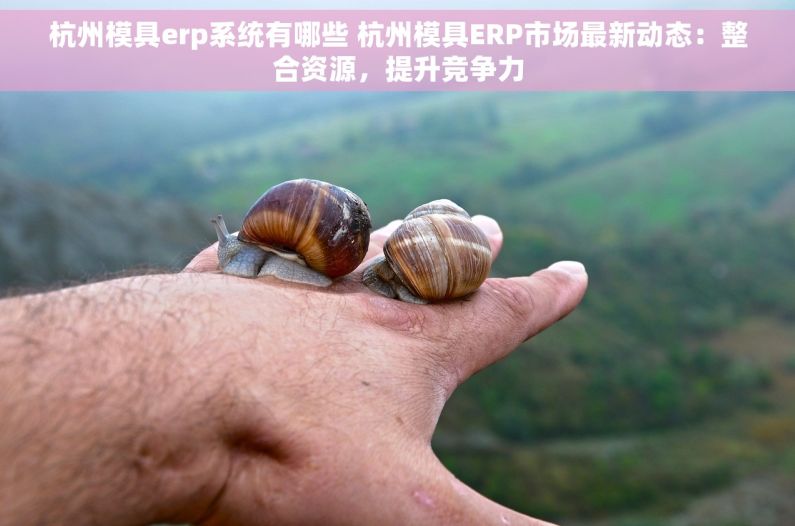 杭州模具erp系统有哪些 杭州模具ERP市场最新动态：整合资源，提升竞争力