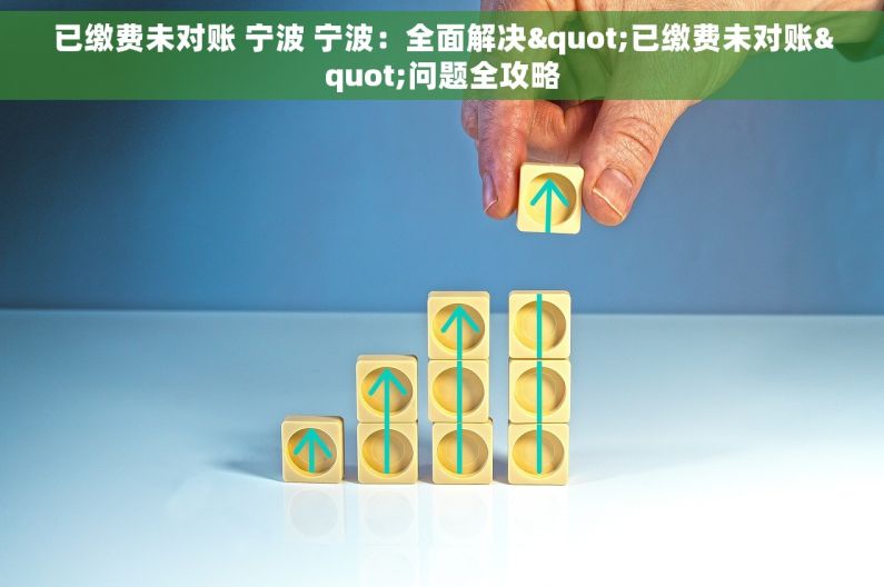 已缴费未对账 宁波 宁波：全面解决"已缴费未对账"问题全攻略