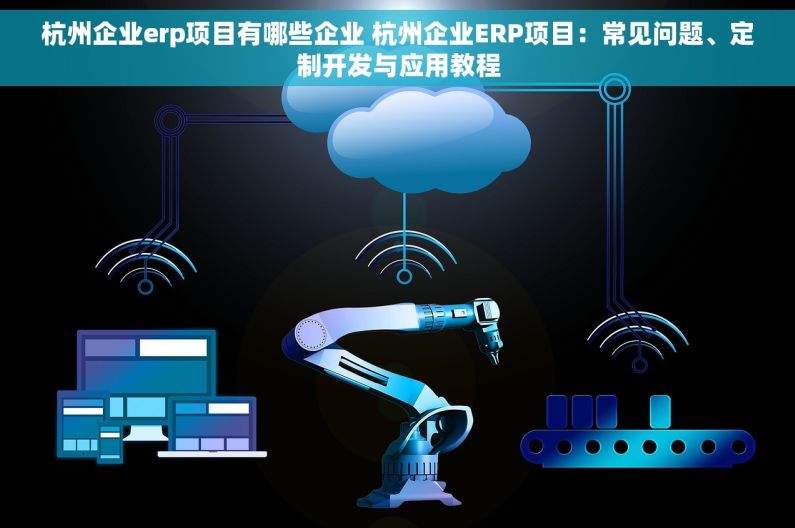 杭州企业erp项目有哪些企业 杭州企业ERP项目：常见问题、定制开发与应用教程