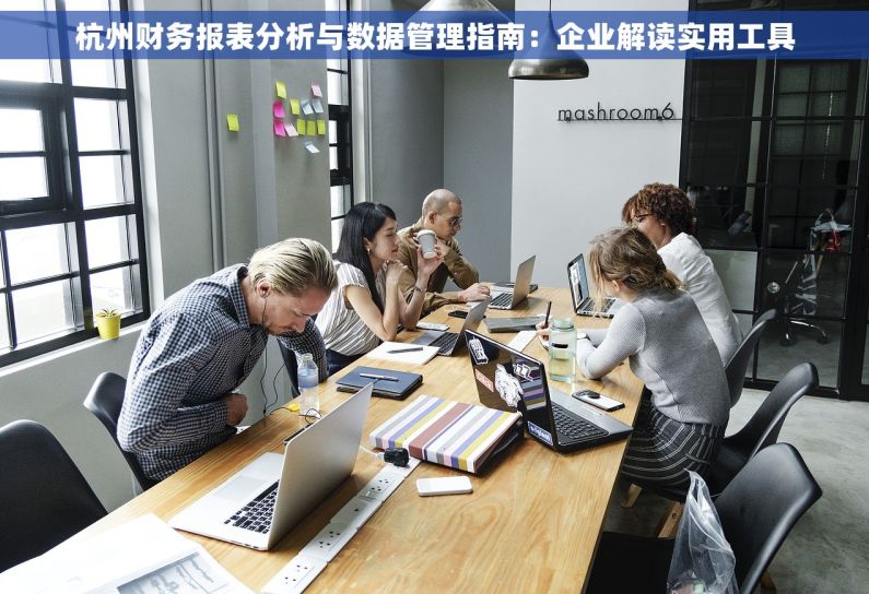 杭州财务报表分析与数据管理指南：企业解读实用工具