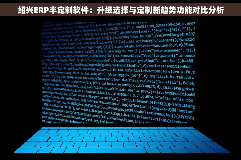 绍兴ERP半定制软件：升级选择与定制新趋势功能对比分析