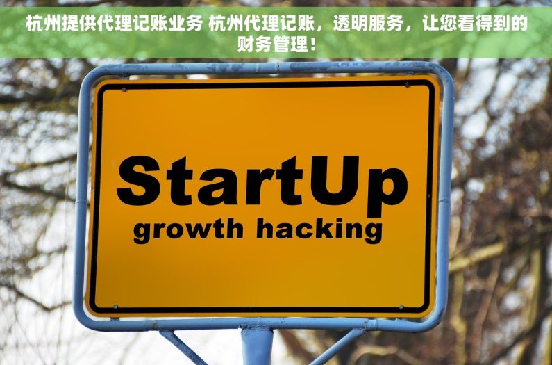 杭州提供代理记账业务 杭州代理记账，透明服务，让您看得到的财务管理！