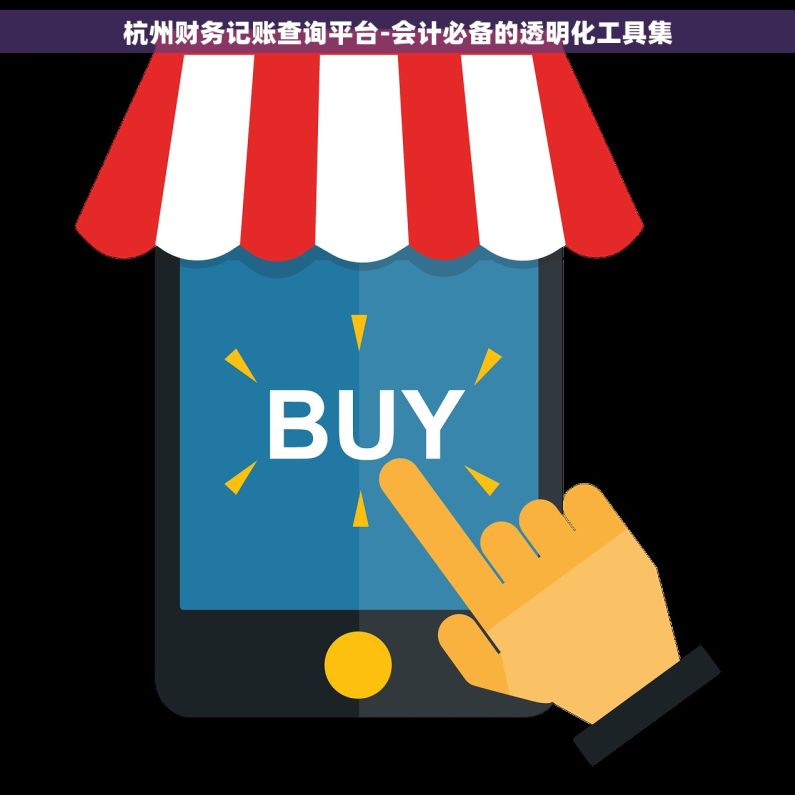 杭州财务记账查询平台-会计必备的透明化工具集