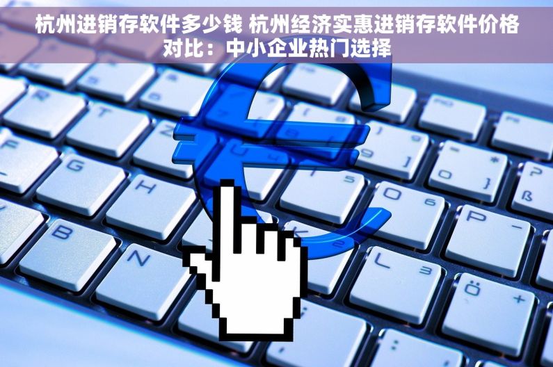 杭州进销存软件多少钱 杭州经济实惠进销存软件价格对比：中小企业热门选择