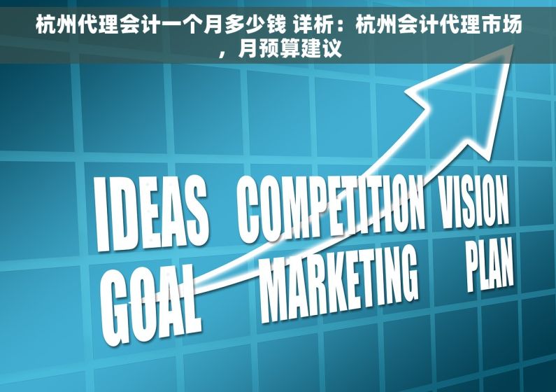 杭州代理会计一个月多少钱 详析：杭州会计代理市场，月预算建议