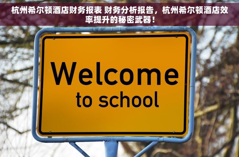 杭州希尔顿酒店财务报表 财务分析报告，杭州希尔顿酒店效率提升的秘密武器！
