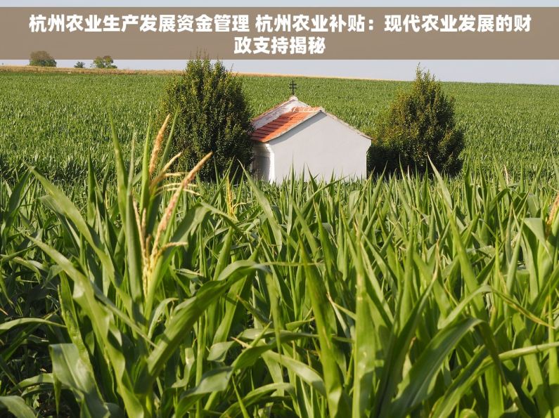 杭州农业生产发展资金管理 杭州农业补贴：现代农业发展的财政支持揭秘
