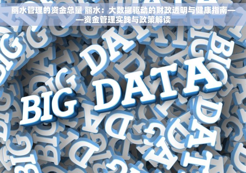 丽水管理的资金总量 丽水：大数据驱动的财政透明与健康指南——资金管理实践与政策解读