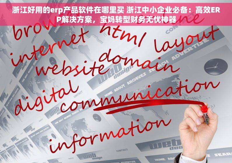 浙江好用的erp产品软件在哪里买 浙江中小企业必备：高效ERP解决方案，宝妈转型财务无忧神器