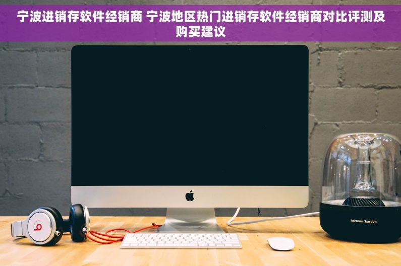 宁波进销存软件经销商 宁波地区热门进销存软件经销商对比评测及购买建议