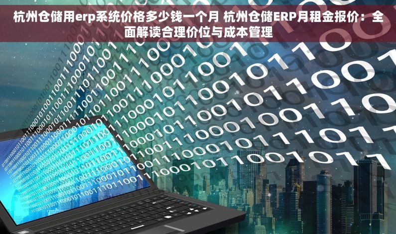 杭州仓储用erp系统价格多少钱一个月 杭州仓储ERP月租金报价：全面解读合理价位与成本管理