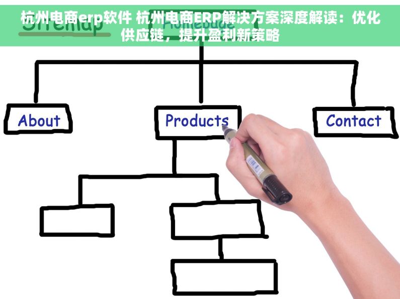 杭州电商erp软件 杭州电商ERP解决方案深度解读：优化供应链，提升盈利新策略