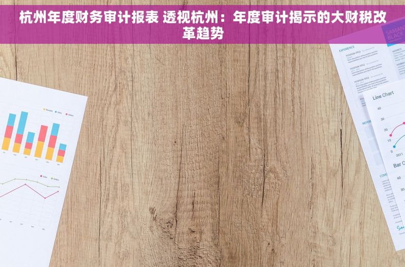 杭州年度财务审计报表 透视杭州：年度审计揭示的大财税改革趋势