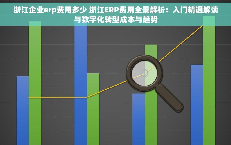 浙江企业erp费用多少 浙江ERP费用全景解析：入门精通解读与数字化转型成本与趋势