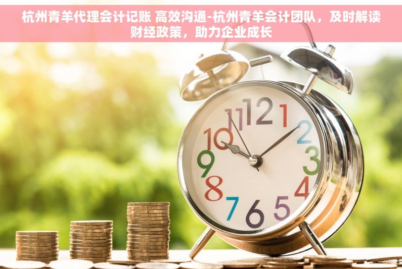 杭州青羊代理会计记账 高效沟通-杭州青羊会计团队，及时解读财经政策，助力企业成长