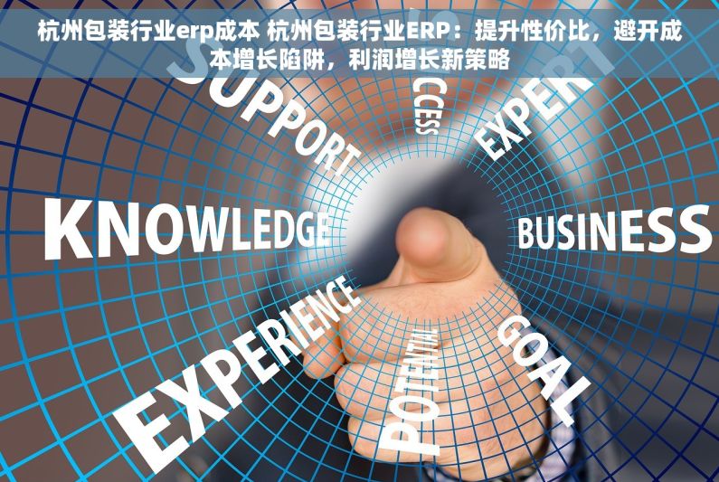 杭州包装行业erp成本 杭州包装行业ERP：提升性价比，避开成本增长陷阱，利润增长新策略
