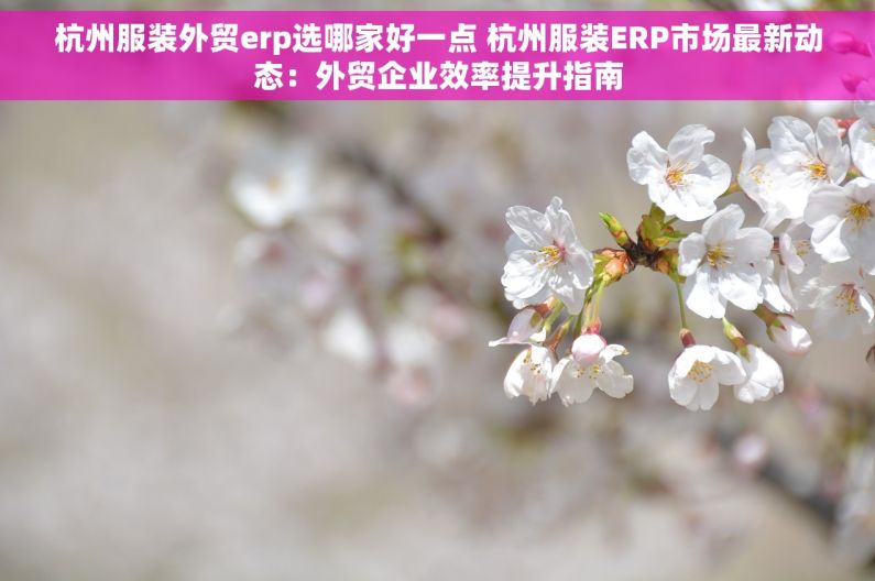 杭州服装外贸erp选哪家好一点 杭州服装ERP市场最新动态：外贸企业效率提升指南