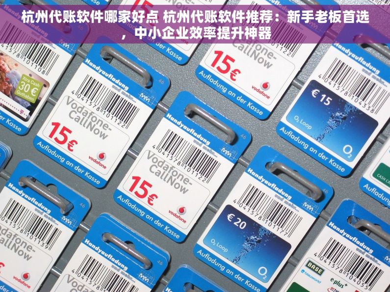 杭州代账软件哪家好点 杭州代账软件推荐：新手老板首选，中小企业效率提升神器
