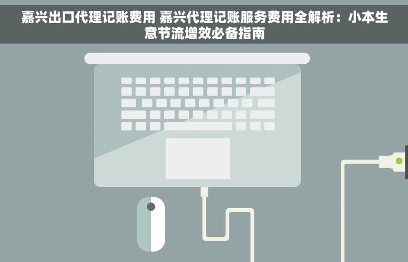 嘉兴出口代理记账费用 嘉兴代理记账服务费用全解析：小本生意节流增效必备指南