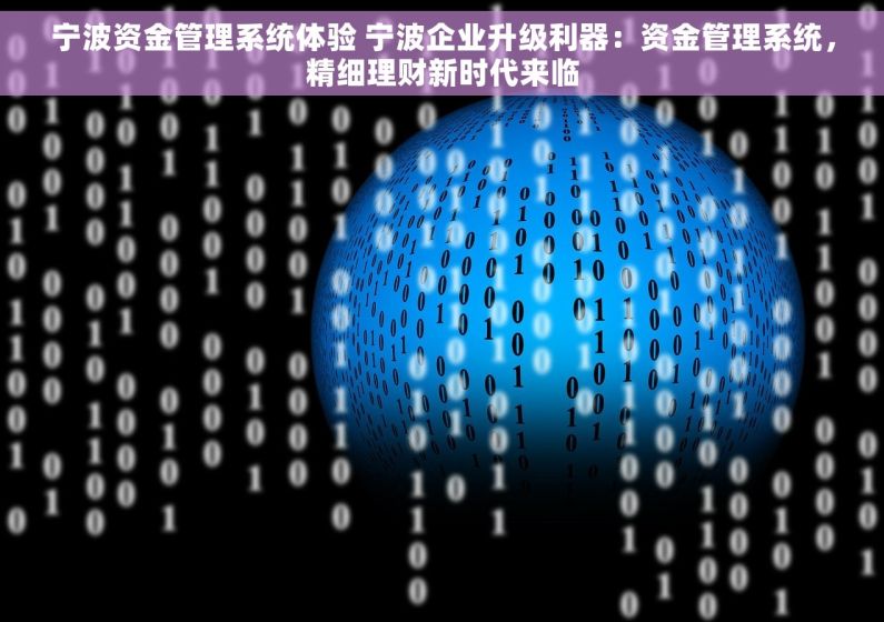 宁波资金管理系统体验 宁波企业升级利器：资金管理系统，精细理财新时代来临