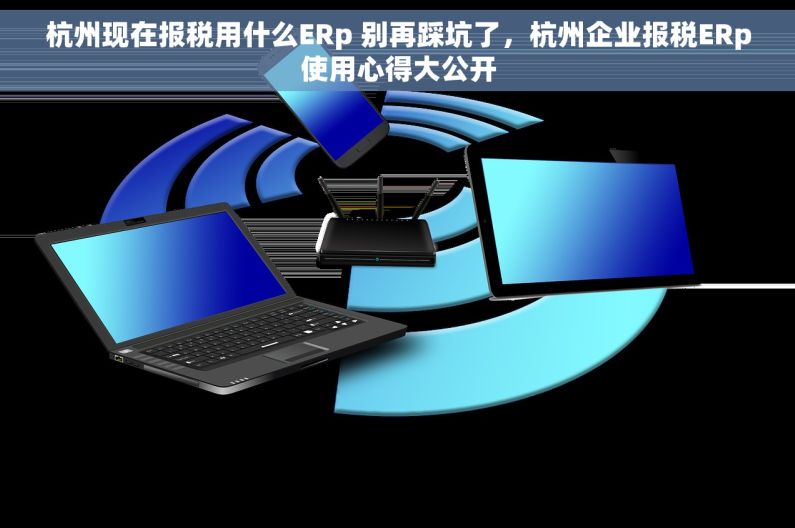 杭州现在报税用什么ERp 别再踩坑了，杭州企业报税ERp使用心得大公开