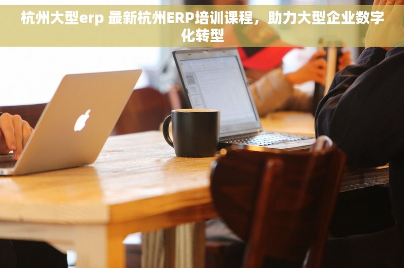 杭州大型erp 最新杭州ERP培训课程，助力大型企业数字化转型