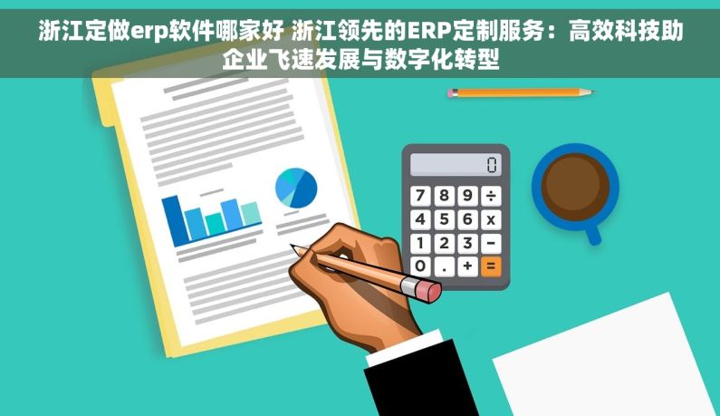 浙江定做erp软件哪家好 浙江领先的ERP定制服务：高效科技助企业飞速发展与数字化转型