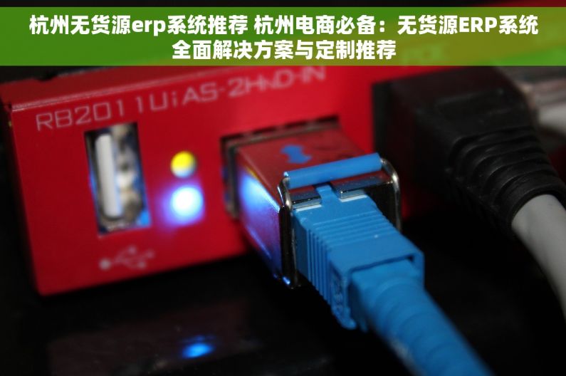 杭州无货源erp系统推荐 杭州电商必备：无货源ERP系统全面解决方案与定制推荐