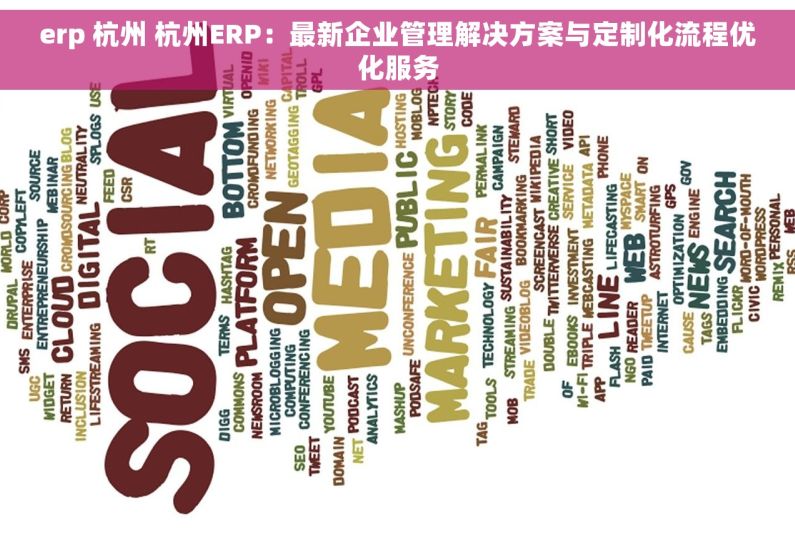 erp 杭州 杭州ERP：最新企业管理解决方案与定制化流程优化服务