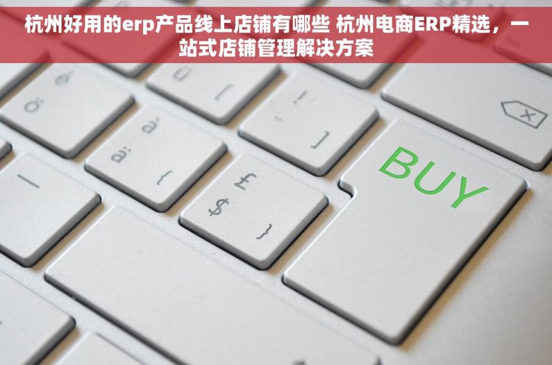杭州好用的erp产品线上店铺有哪些 杭州电商ERP精选，一站式店铺管理解决方案