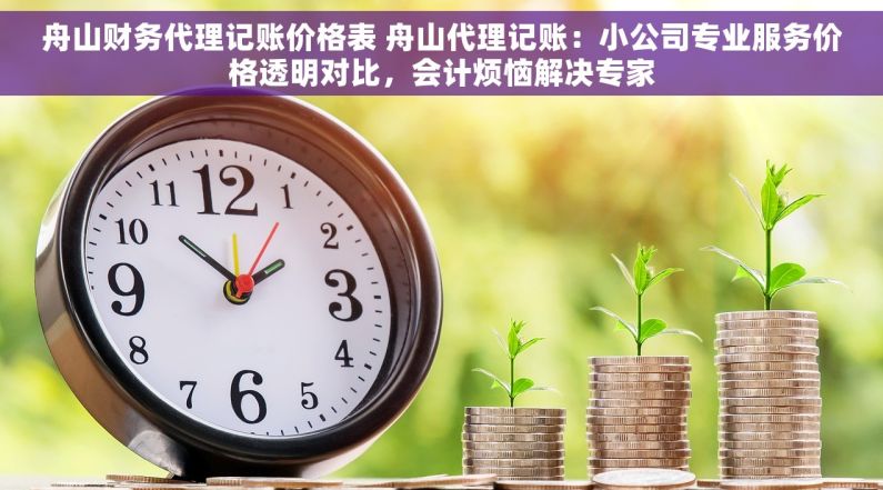 舟山财务代理记账价格表 舟山代理记账：小公司专业服务价格透明对比，会计烦恼解决专家