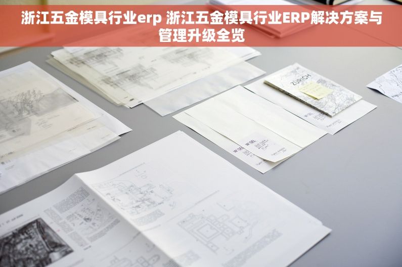 浙江五金模具行业erp 浙江五金模具行业ERP解决方案与管理升级全览
