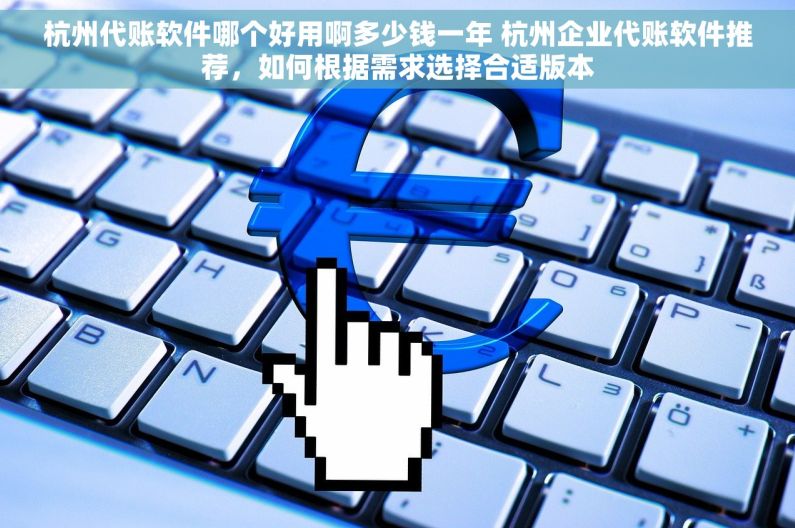 杭州代账软件哪个好用啊多少钱一年 杭州企业代账软件推荐，如何根据需求选择合适版本