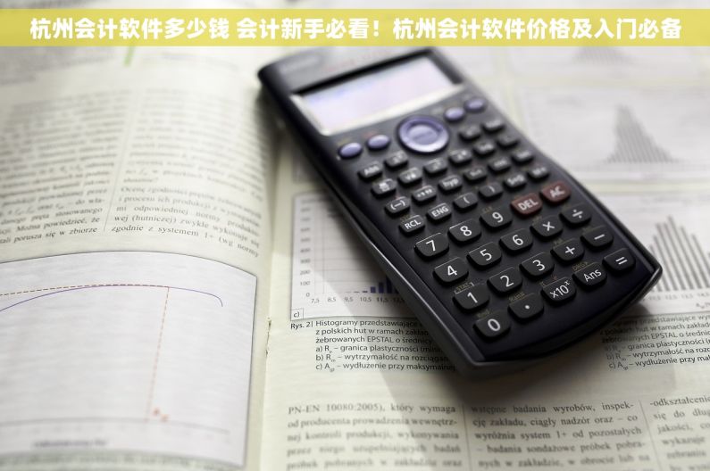 杭州会计软件多少钱 会计新手必看！杭州会计软件价格及入门必备