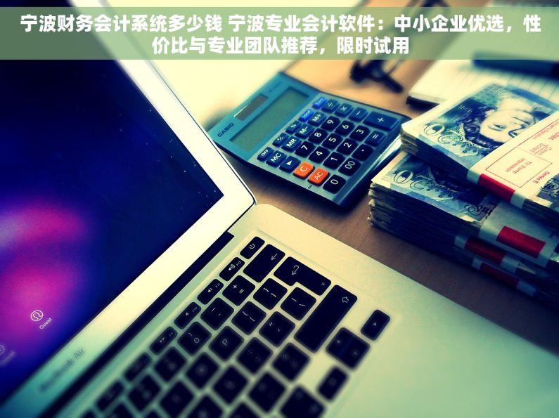 宁波财务会计系统多少钱 宁波专业会计软件：中小企业优选，性价比与专业团队推荐，限时试用